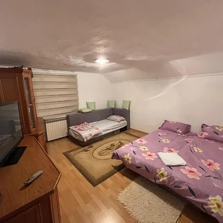 Family Oasis Hadzici